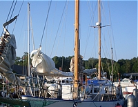 Greif von Ueckermünde klein